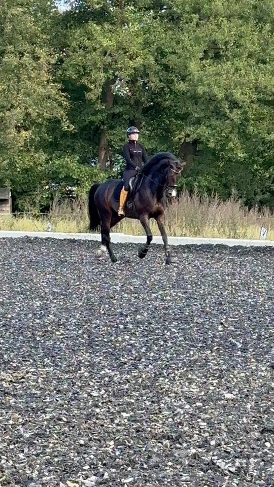 TikTok video thumbnail by miraaa.ms