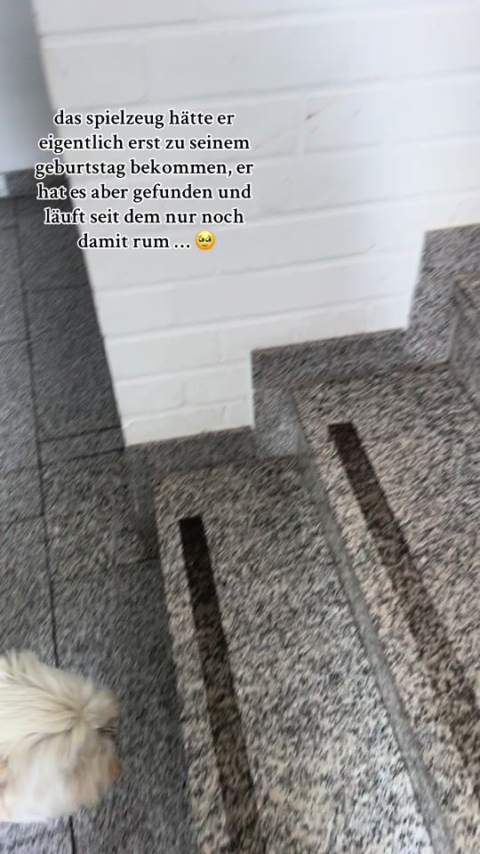 TikTok video thumbnail by laurawlny