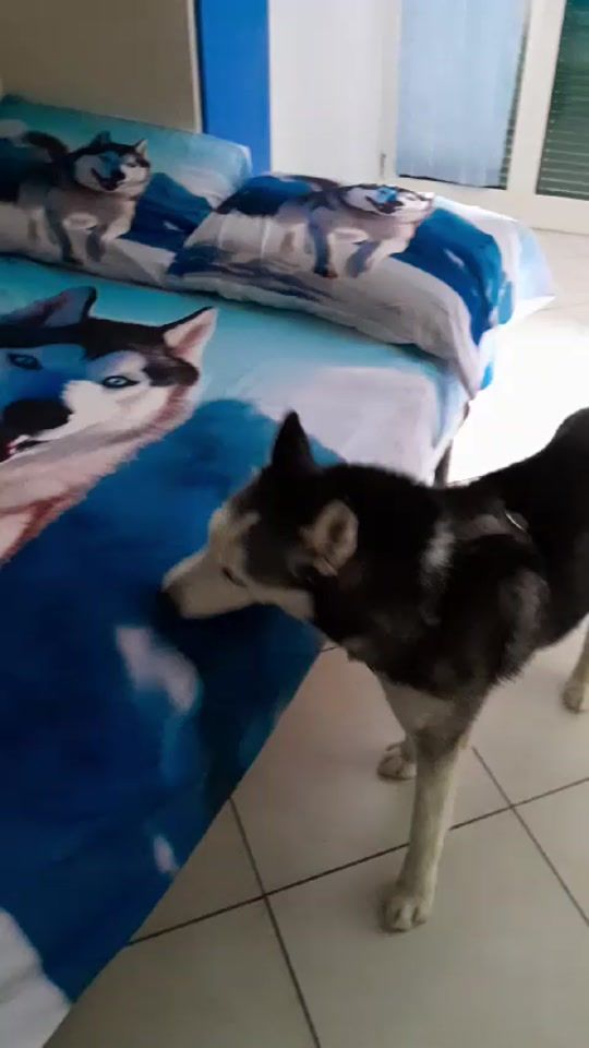 TikTok video thumbnail by milenadimaro