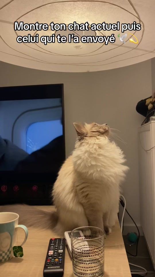 TikTok video thumbnail by tendersthebirman