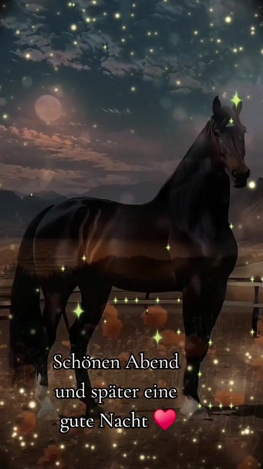 TikTok video thumbnail by reginezielinski