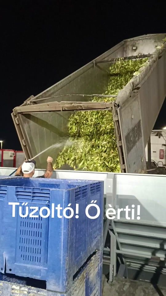 TikTok video thumbnail by grizzlygabi