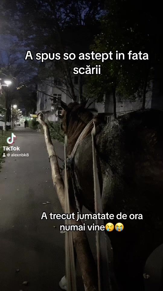 TikTok video thumbnail by alexnbk8