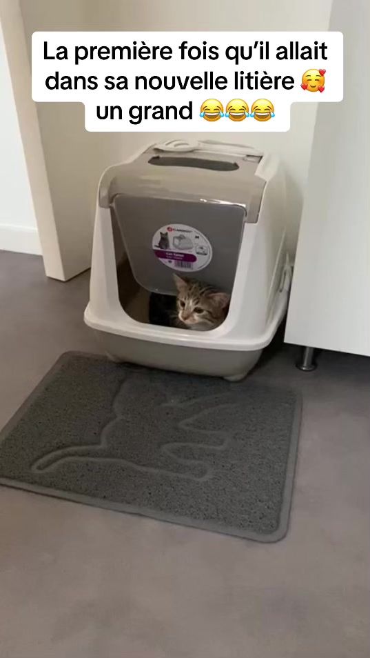 TikTok video thumbnail by chatonsimba