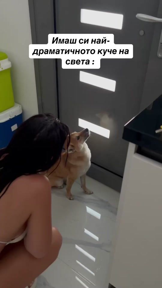 TikTok video thumbnail by devoranqmanervi