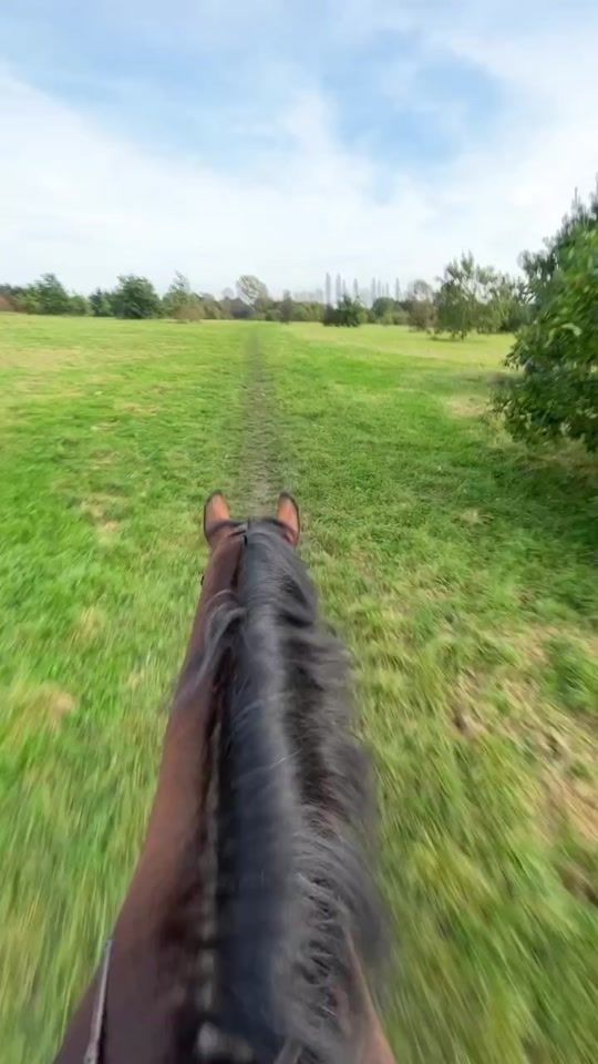 TikTok video thumbnail by rosieswainequestrian