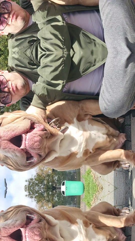 TikTok video thumbnail by mak.bullys