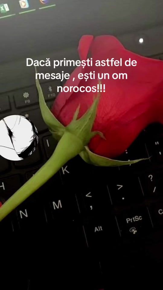 TikTok video thumbnail by miarosemaria