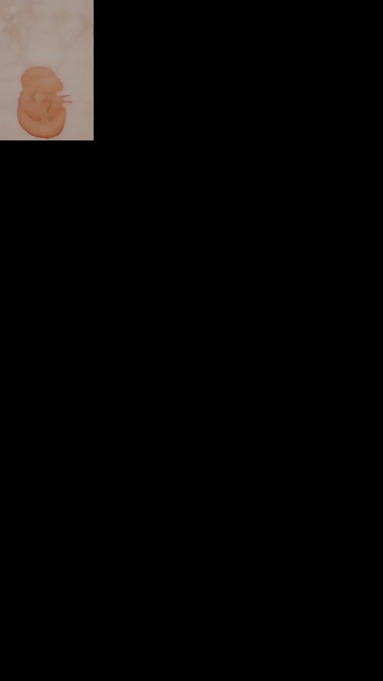 TikTok video thumbnail by delia_berar