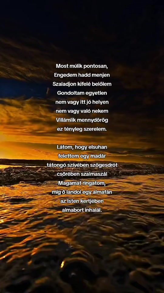 TikTok video thumbnail by babyke_007