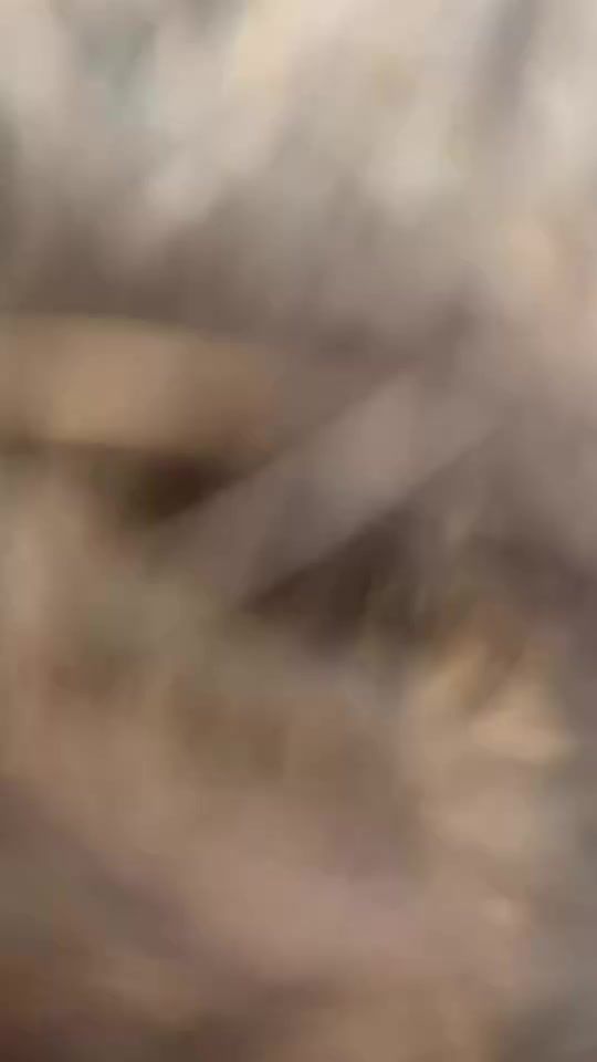 TikTok video thumbnail by josemiguelsaavedr5e