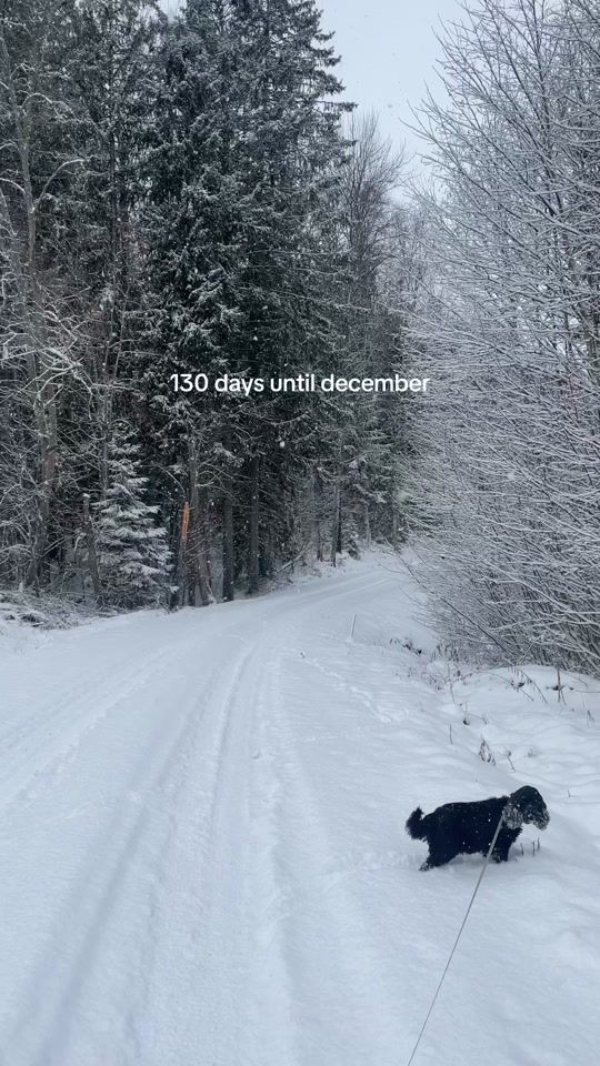 TikTok video thumbnail by cozychristmascollective