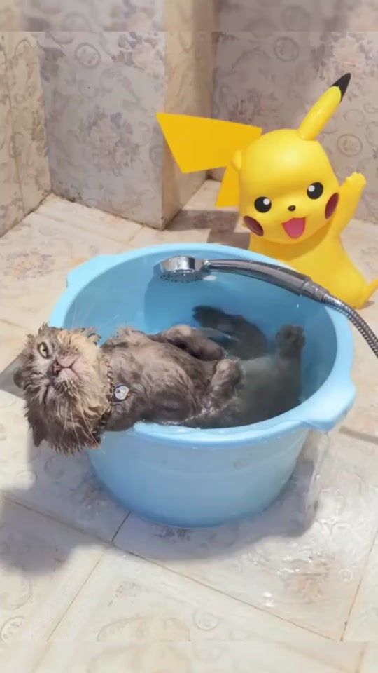 TikTok video thumbnail by microkittens