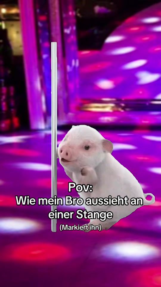 TikTok video thumbnail by memes.bar