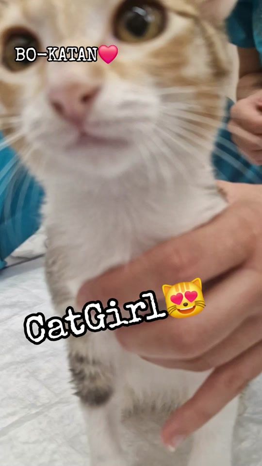 TikTok video thumbnail by obi_ohana