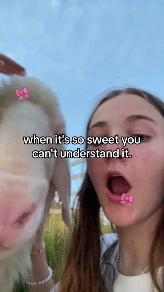 TikTok video thumbnail by fadinezq0sv