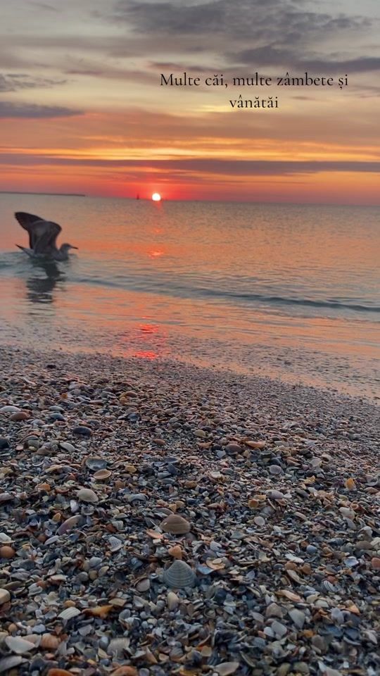 TikTok video thumbnail by lavinia.cnd