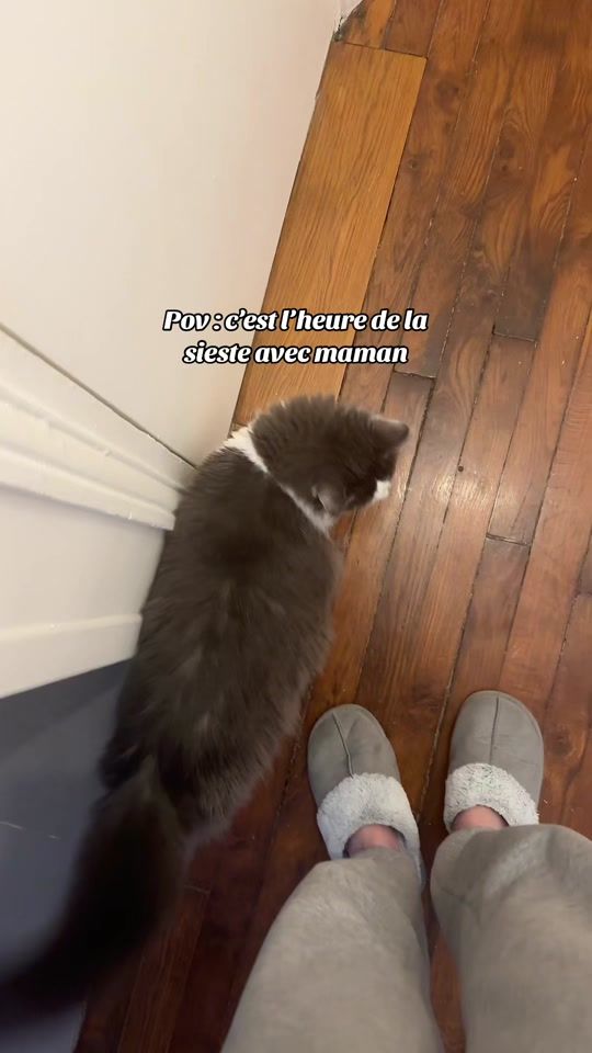 TikTok video thumbnail by princessesyrah