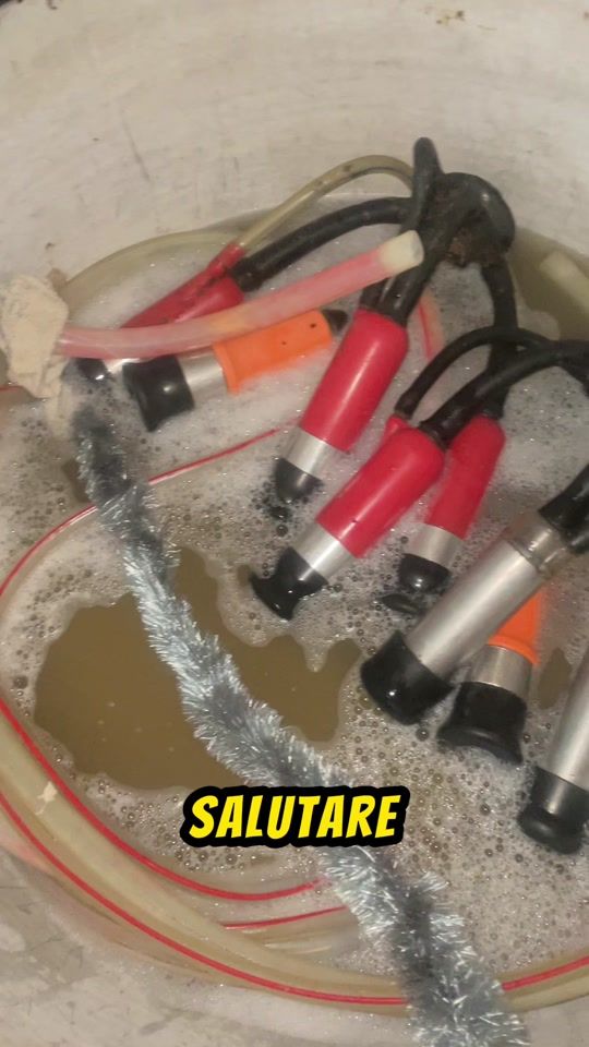 TikTok video thumbnail by caramelu3