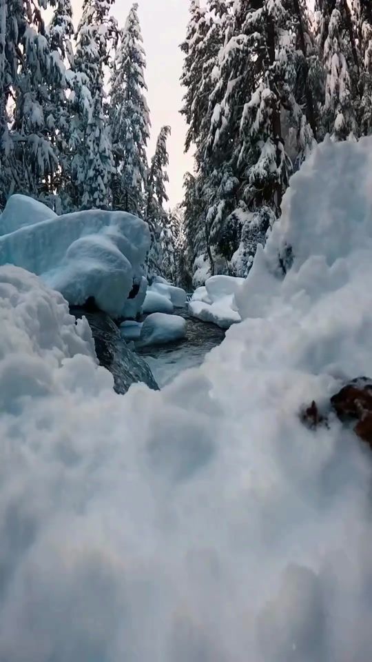 TikTok video thumbnail by azher_al_habeeb