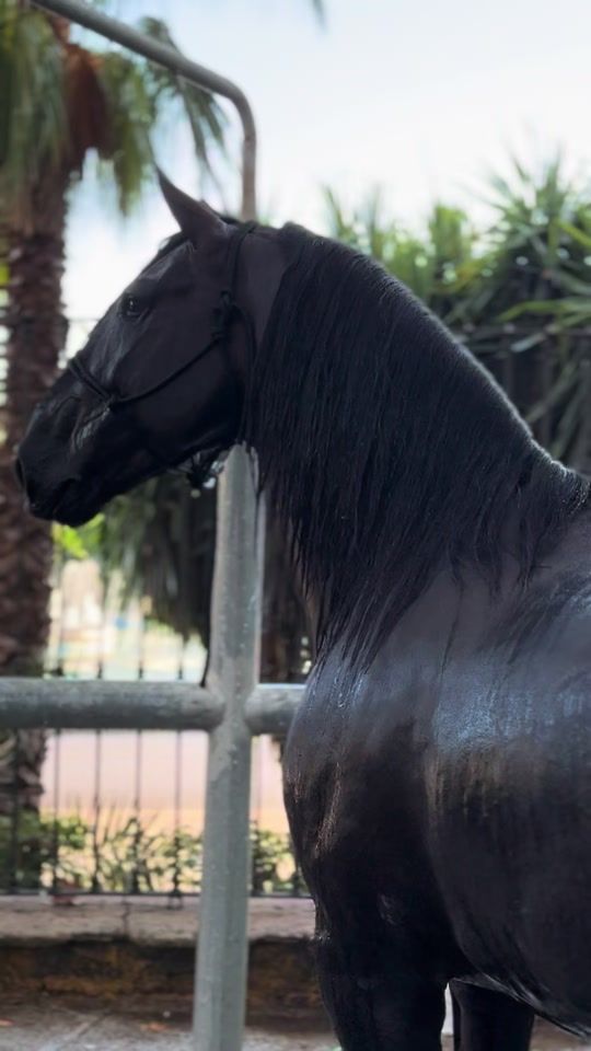 TikTok video thumbnail by valdevinas