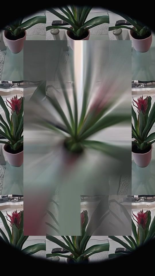 TikTok video thumbnail by kalbimdesin261