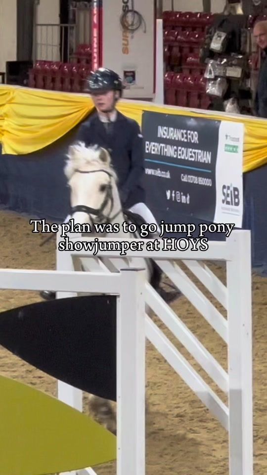 TikTok video thumbnail by lola.spooner9