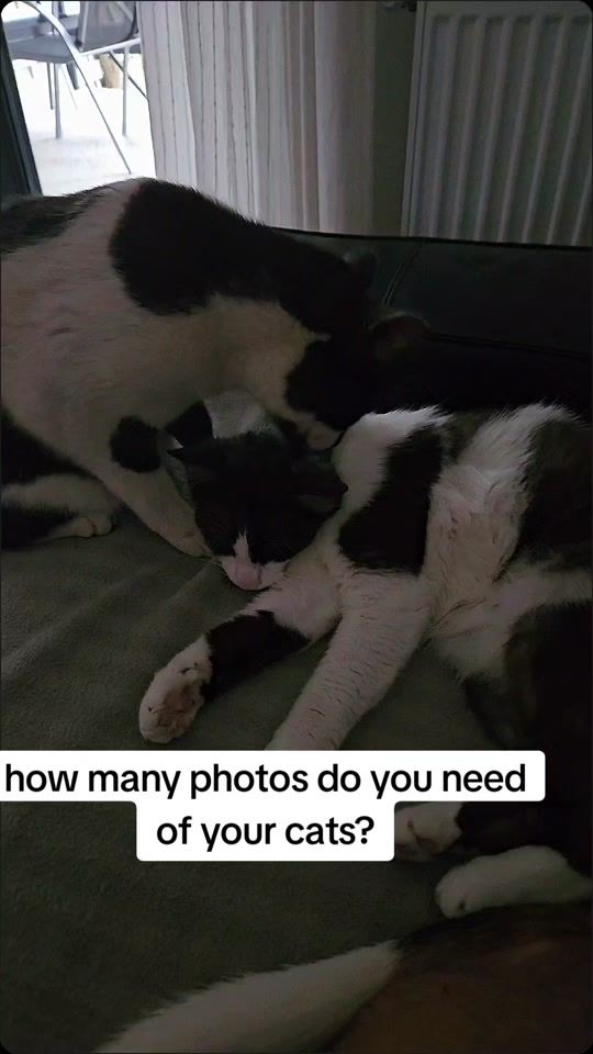 TikTok video thumbnail by ingridtrieslife