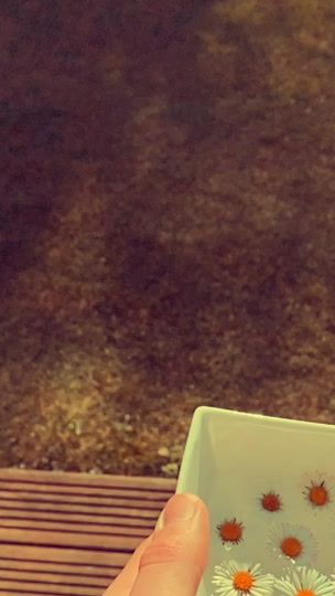 TikTok video thumbnail by .teddybwear