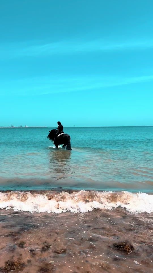 TikTok video thumbnail by vidaindomablee