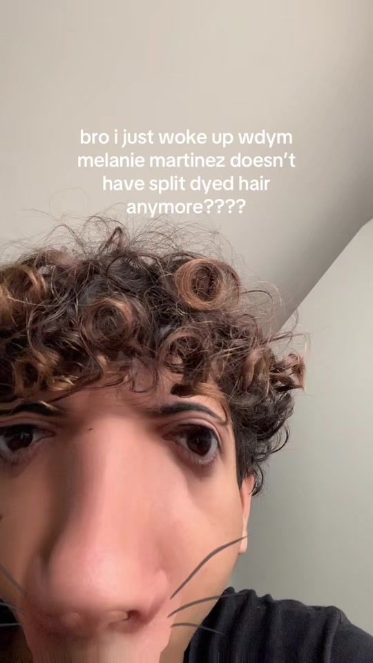 TikTok video thumbnail by melsflwers