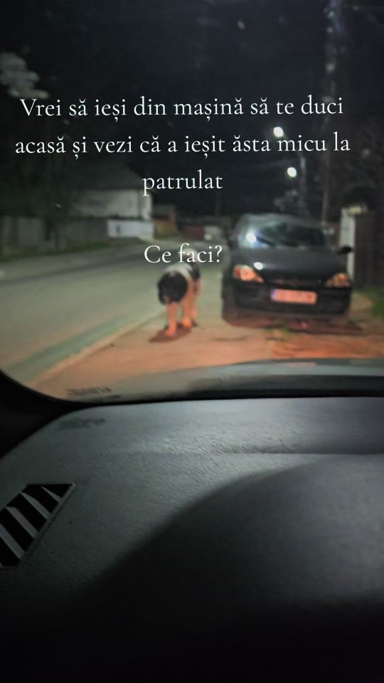 TikTok video thumbnail by cosminmihai142