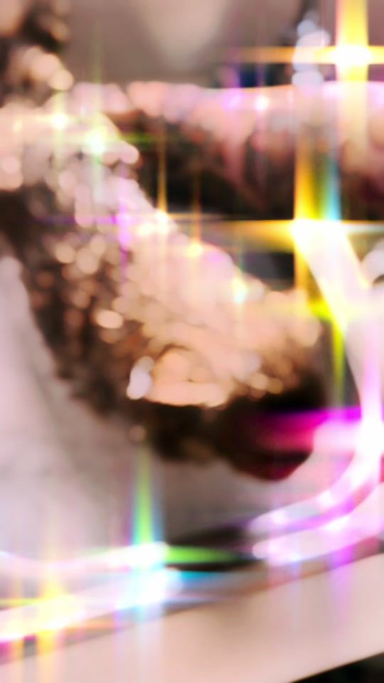 TikTok video thumbnail by kingchillithepug