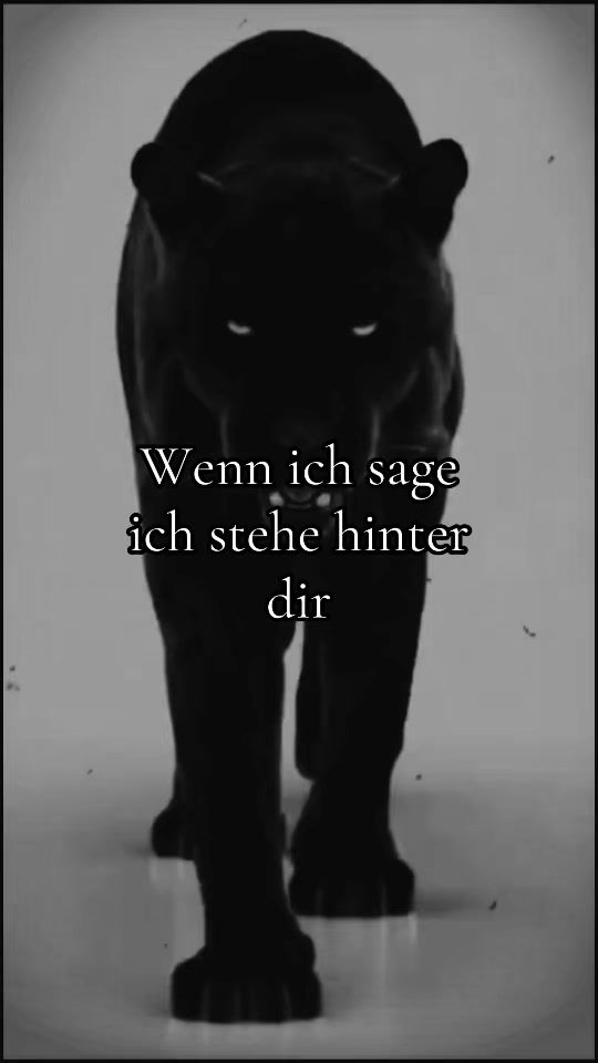 TikTok video thumbnail by da_lexx