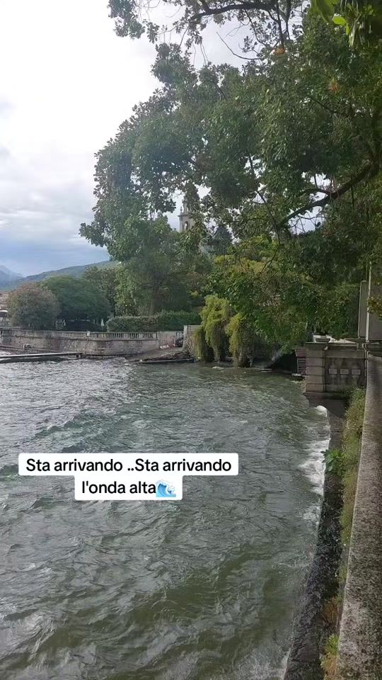 TikTok video thumbnail by monzagabriele