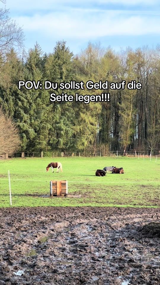 TikTok video thumbnail by catharinadie