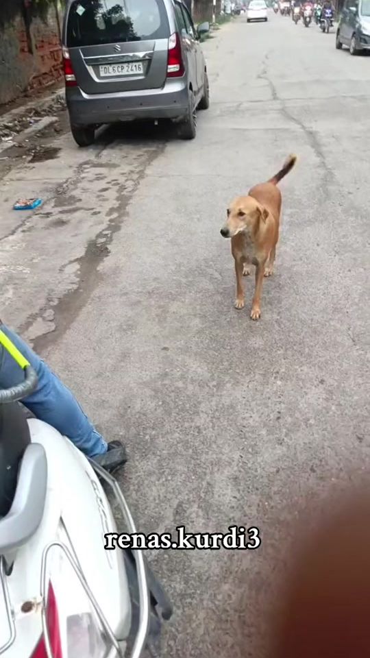 TikTok video thumbnail by renas.kurdi3