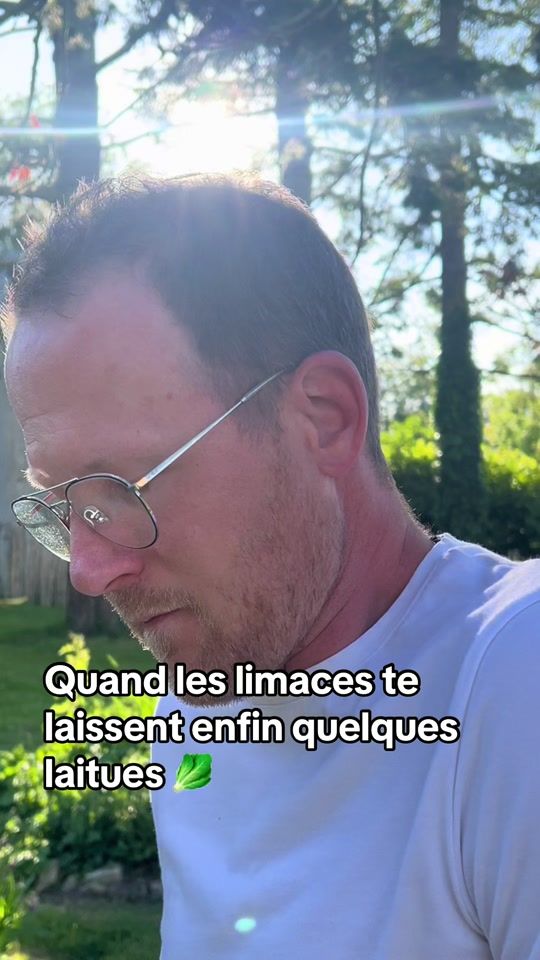 TikTok video thumbnail by le.cultivateur