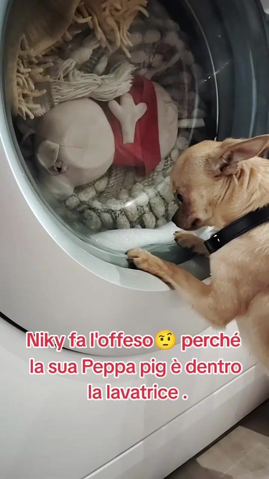 TikTok video thumbnail by nikysweet