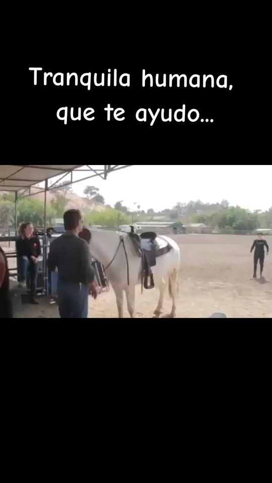 TikTok video thumbnail by _joaquin_68