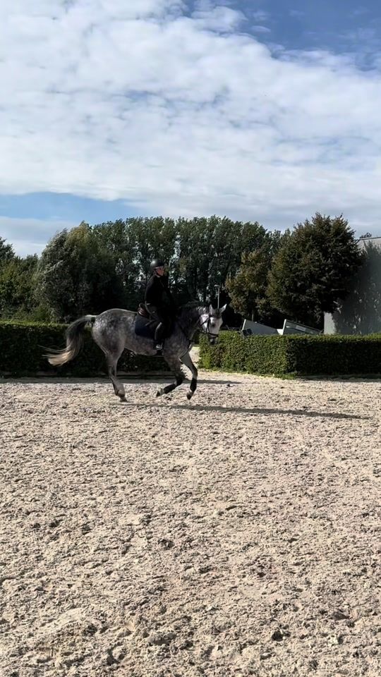 TikTok video thumbnail by luise.borzym