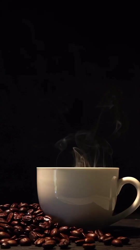 TikTok video thumbnail by patrybrasil2