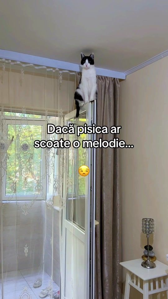 TikTok video thumbnail by catsrullz