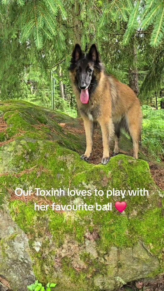 TikTok video thumbnail by asahholesatertidblom