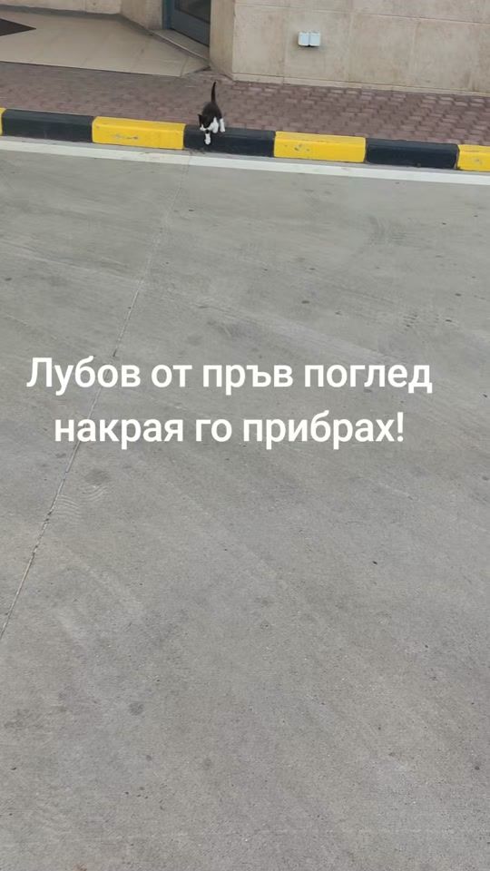 TikTok video thumbnail by bahrisadula