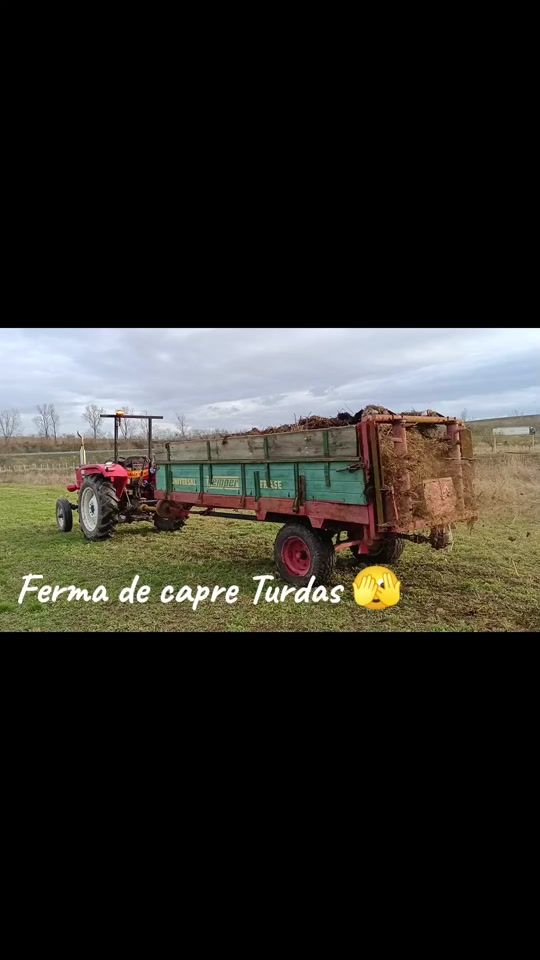 TikTok video thumbnail by bokosandrei