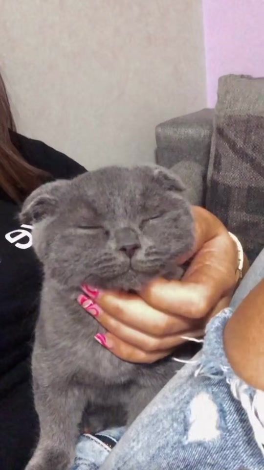 TikTok video thumbnail by booandpamm