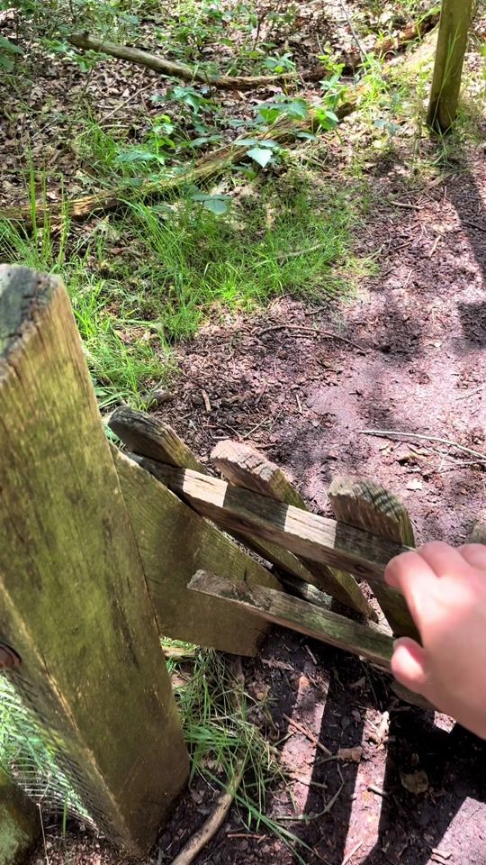 TikTok video thumbnail by drentelend