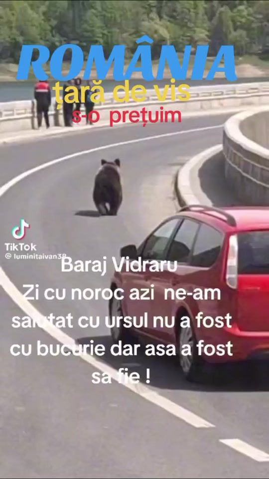 TikTok video thumbnail by milin72redare