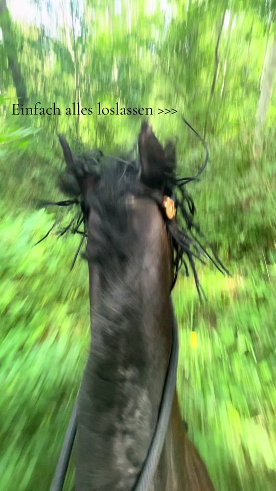 TikTok video thumbnail by kaya0856